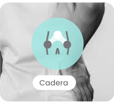 especialista en cadera